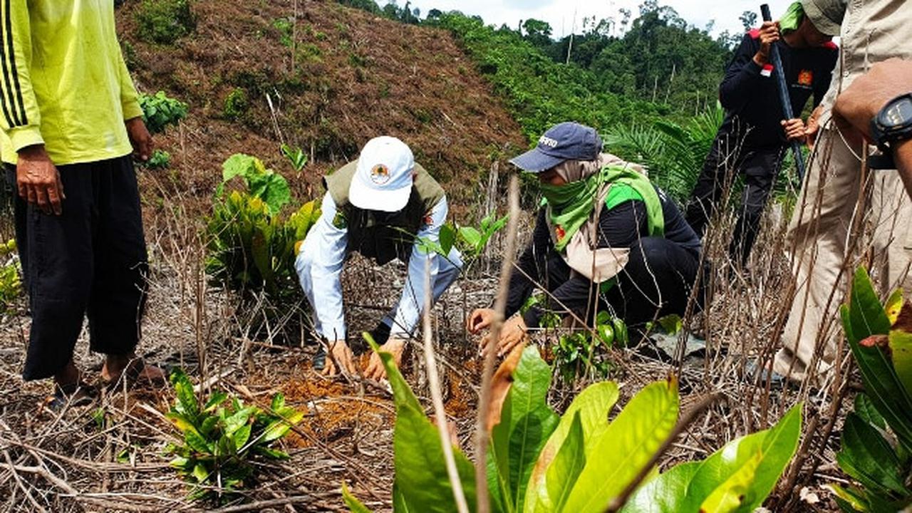 Penanaman 1000 Pohon Penghijauan Hulu Desa